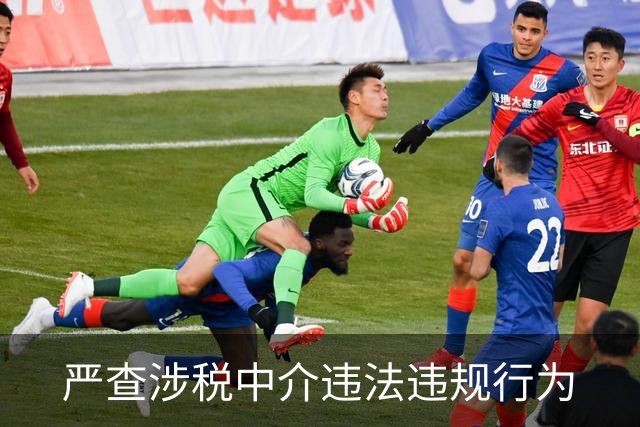 严查涉税中介违法违规行为