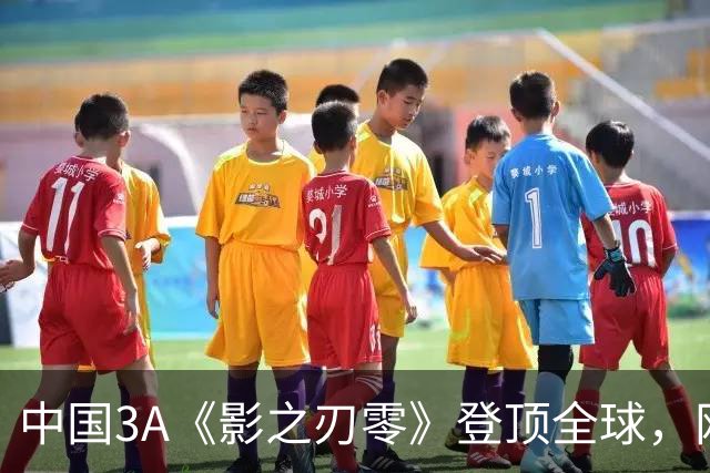 中国3A《影之刃零》登顶全球，网友：好像日本名