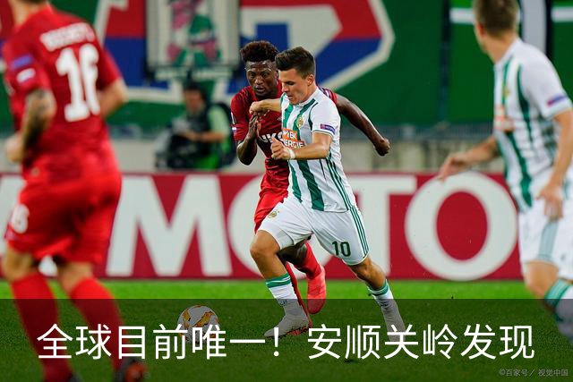 全球目前唯一！安顺关岭发现