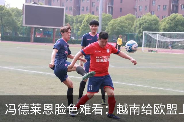 冯德莱恩脸色难看：越南给欧盟上了一课：什么叫 “中国力量”