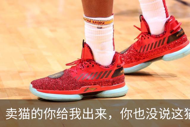 卖猫的你给我出来，你也没说这猫能长这么大啊