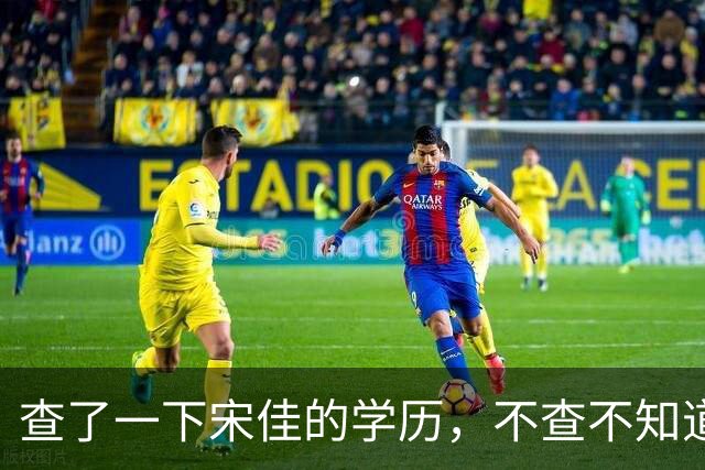 查了一下宋佳的学历，不查不知道，一查吓一跳！她竟然不是科班学表演出身的，而是学柳琴的，拿到音乐学院录取通知书才临时改行