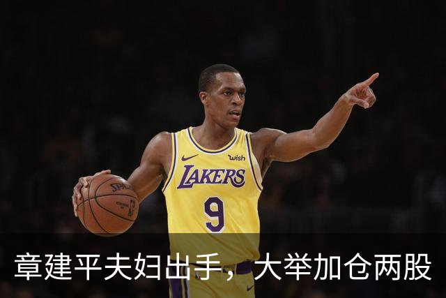 章建平夫妇出手，大举加仓两股