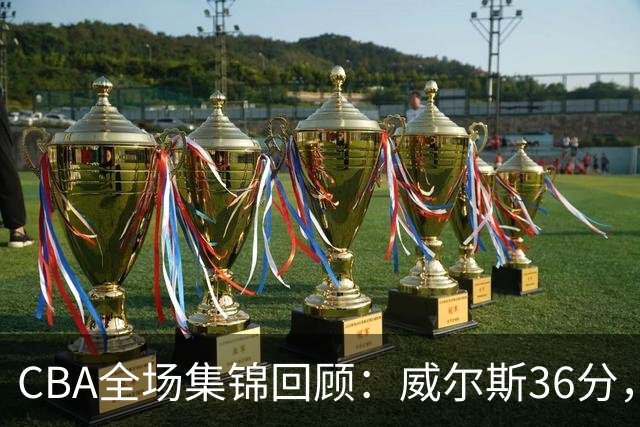 CBA全场集锦回顾：威尔斯36分，广厦力克辽宁